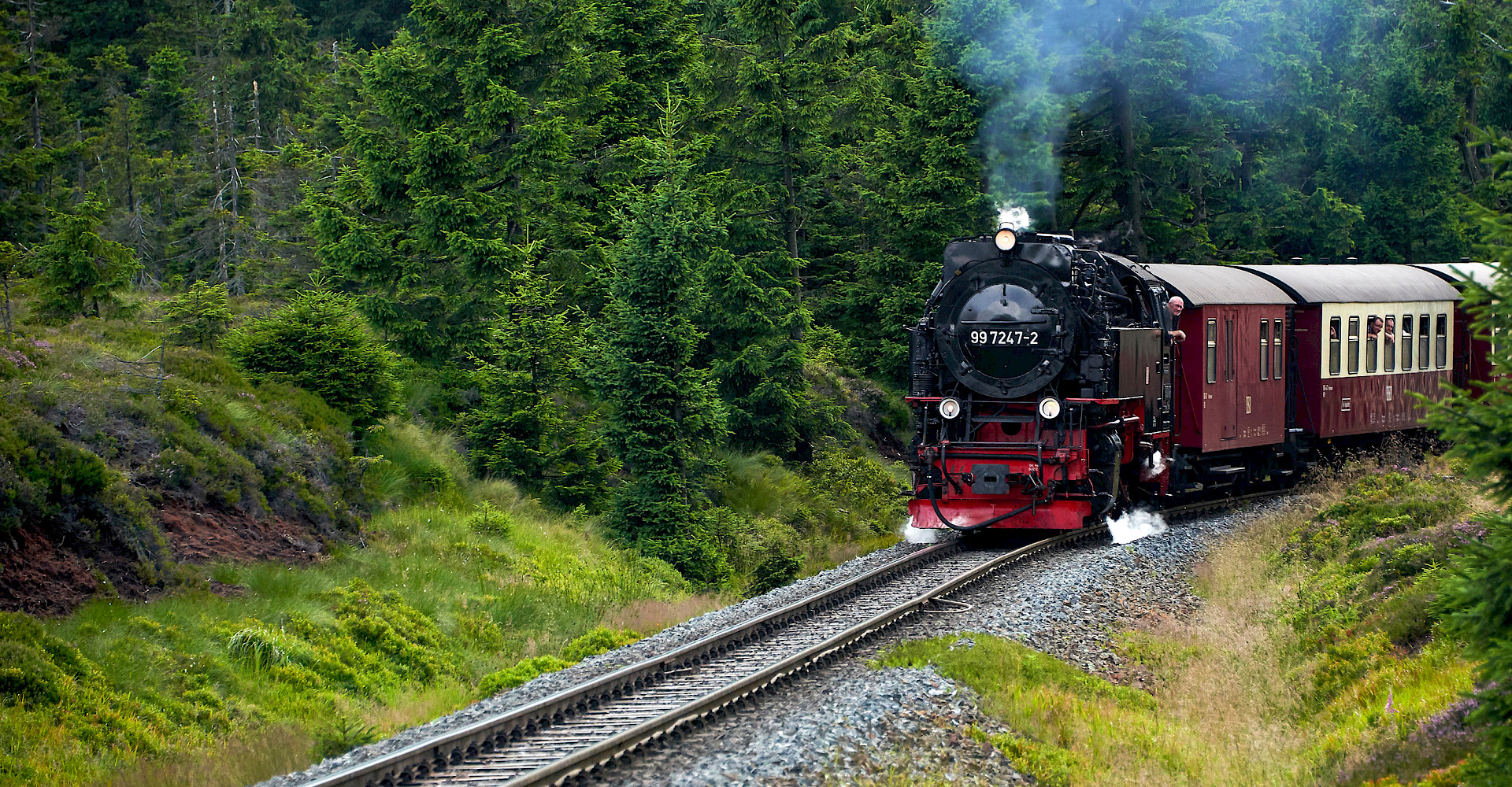 Harzchalets an der Brockenbahn