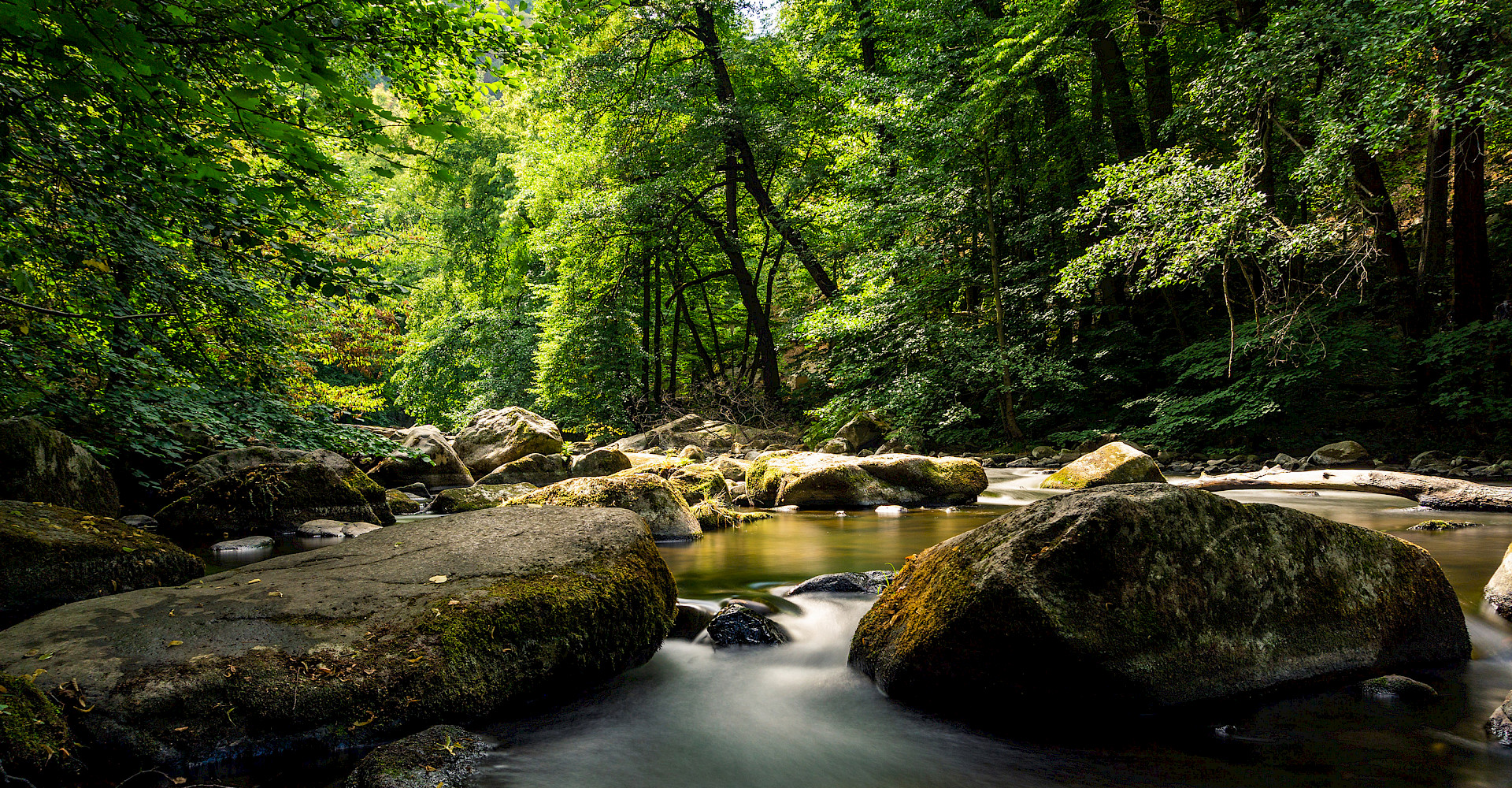 Harzchalets an der Brockenbahn, Urlaub im Harz