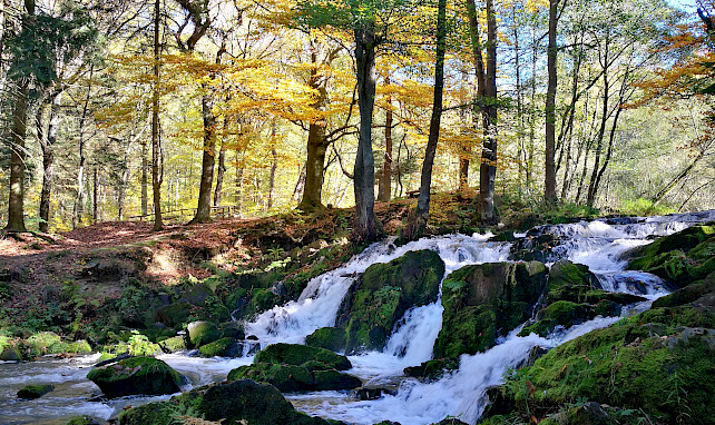 Nationalpark, Natur, Harz
