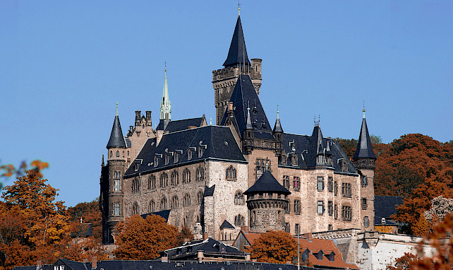 Schloss, Burg, Harz erleben